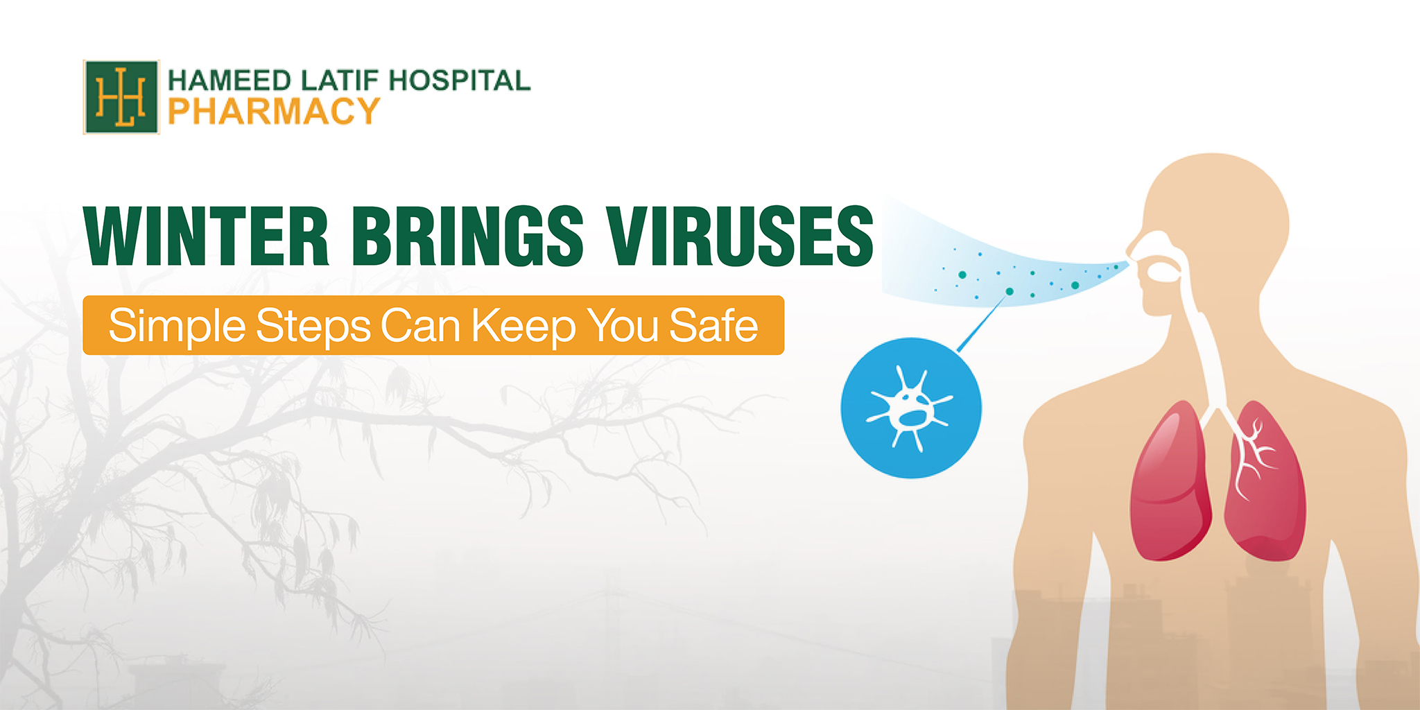 Winter Brings Viruses Simple Steps Can Keep You Safe